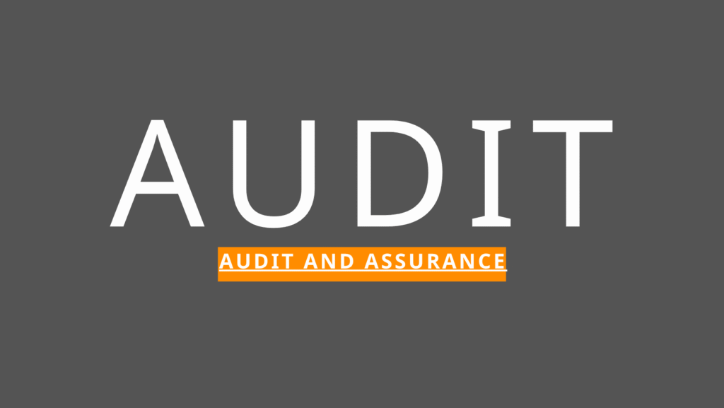 AUDIT